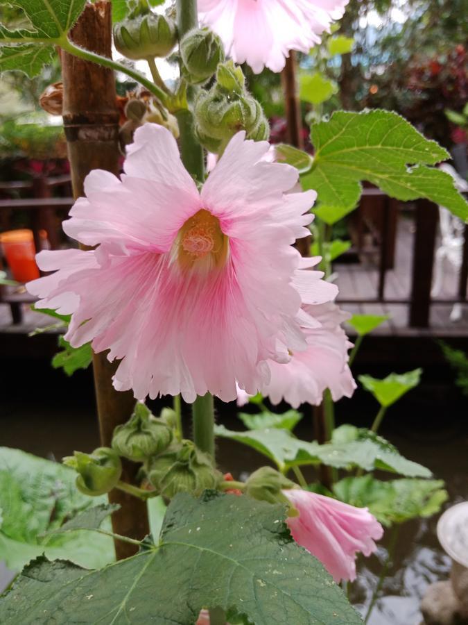 Yi Jia Yuan Homestay 난좡 외부 사진